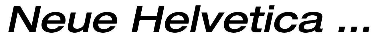 Neue Helvetica Paneuropean 63 Extended Medium Oblique